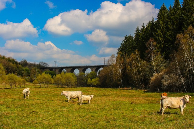 Petershagen-Eggersdorf - DEPEF-2