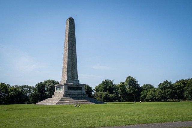 Wellington - GBCWF-2