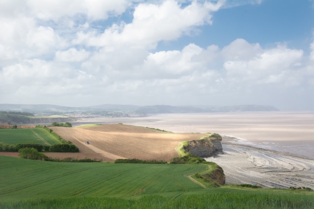 Bridgwater - GBMWV-2