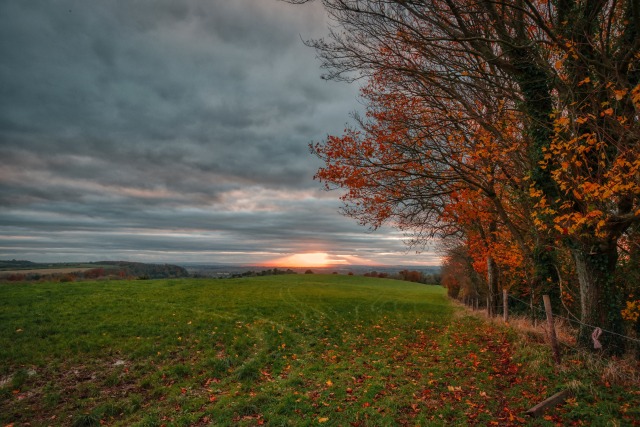 Gloucester - GBXWP-2