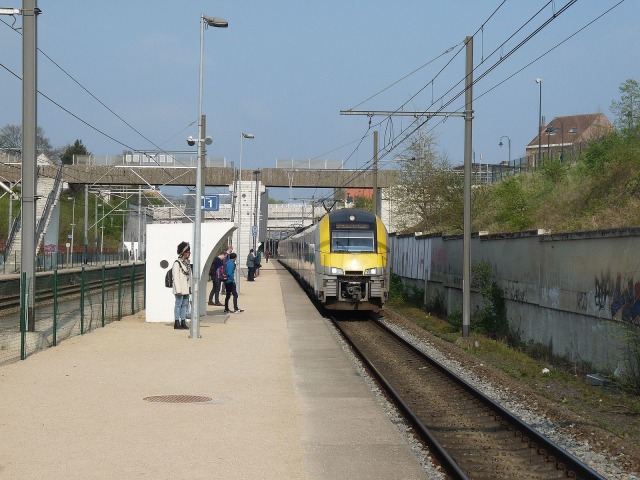 Haren-Zuid/Haren-Sud - BEBRSDEDBN8-0