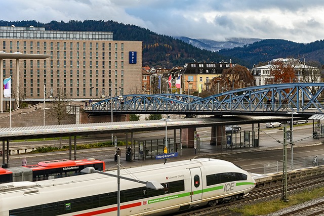 Bismarckallee 3 -{"city":"Freiburg","country":"DE","postal":"79098","state":"BW","street1":"Bismarckallee 3"} - DEFRBDEFLX-0