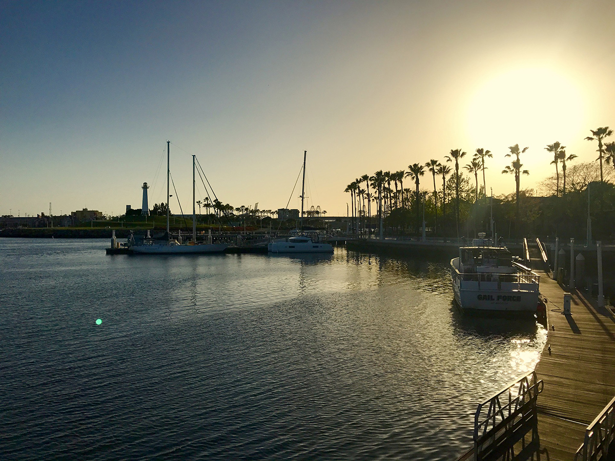 Cheap bus and train travel from Long Beach.