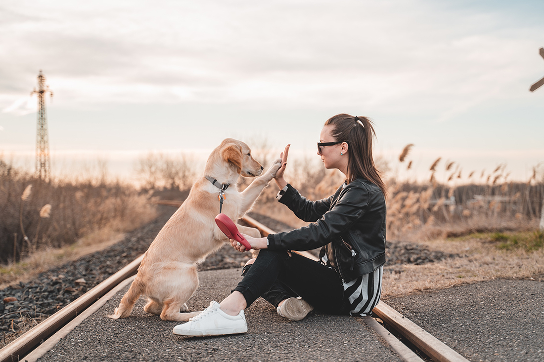 Photo of a girl and her dog before they board the Amtrak train.