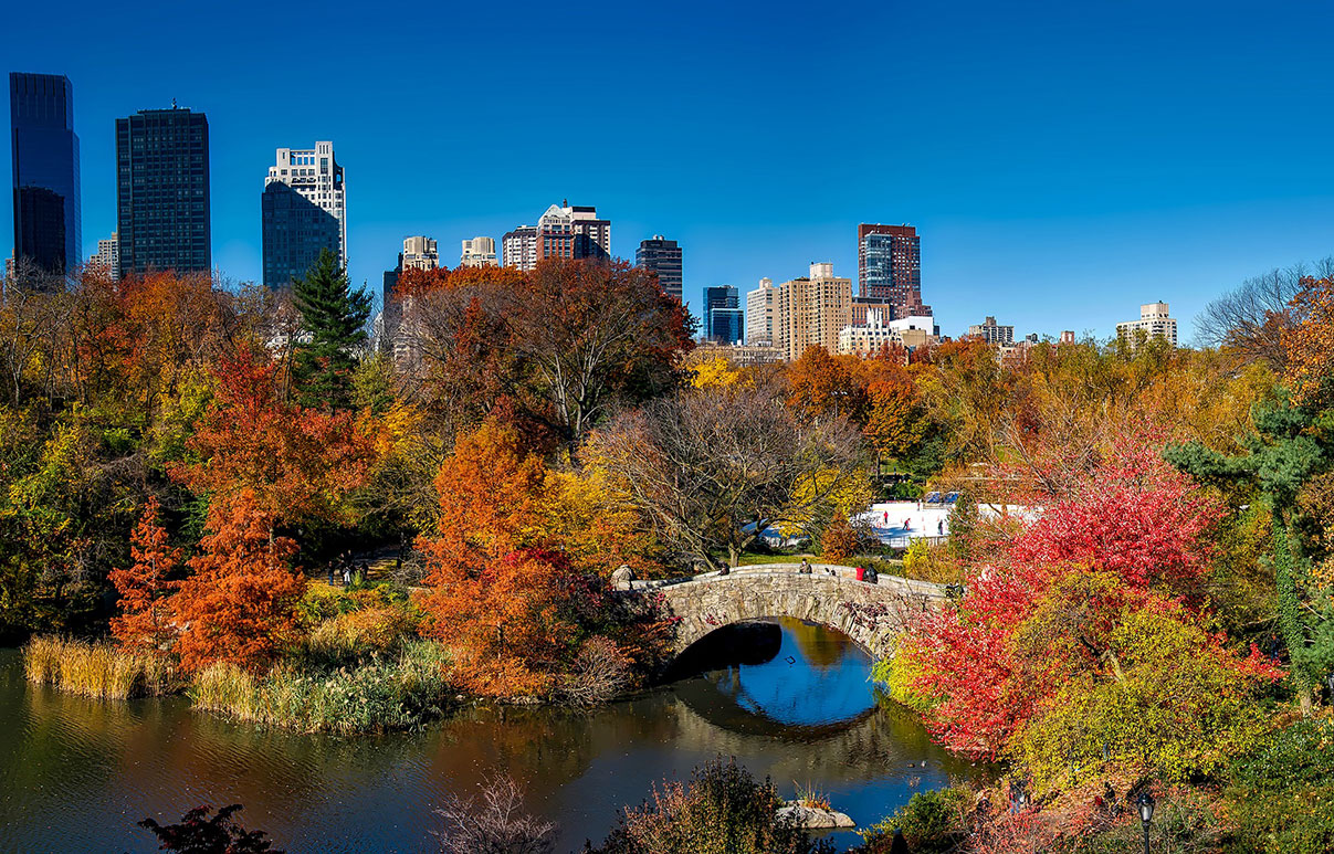 Photo of New York's Central Park in fall, with bright autumn colors.