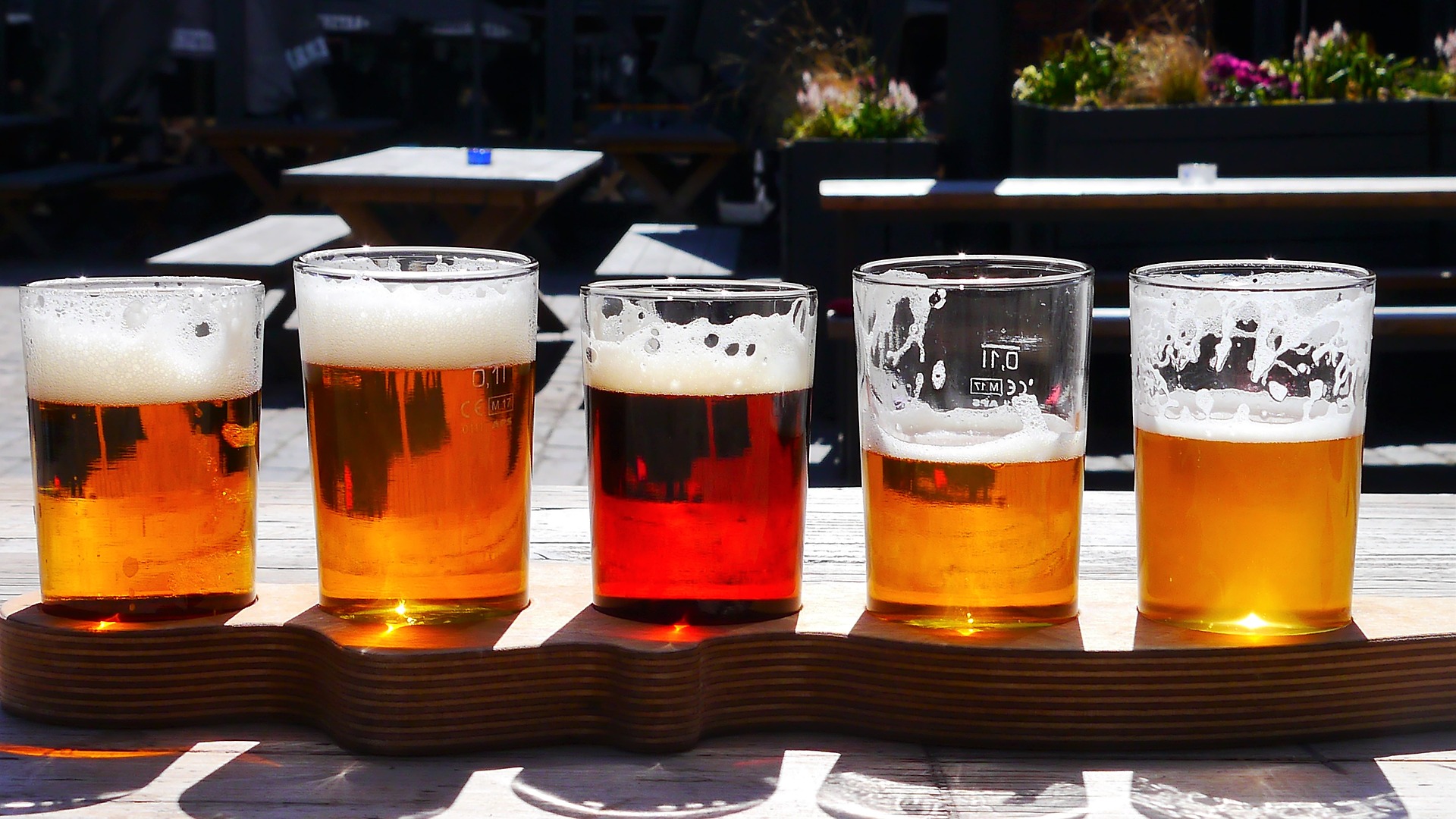 A flight of craft beer on a sunny day.