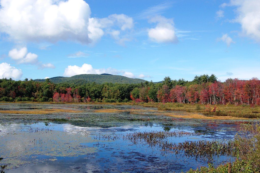 Photo of Maine in autumn.