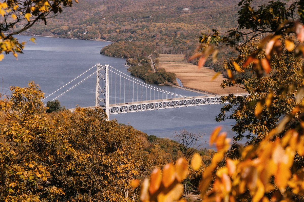 The Bear Mountain Bridge spanning the Hudson River, seen through a fringe of golden leaves from a hillside above the water