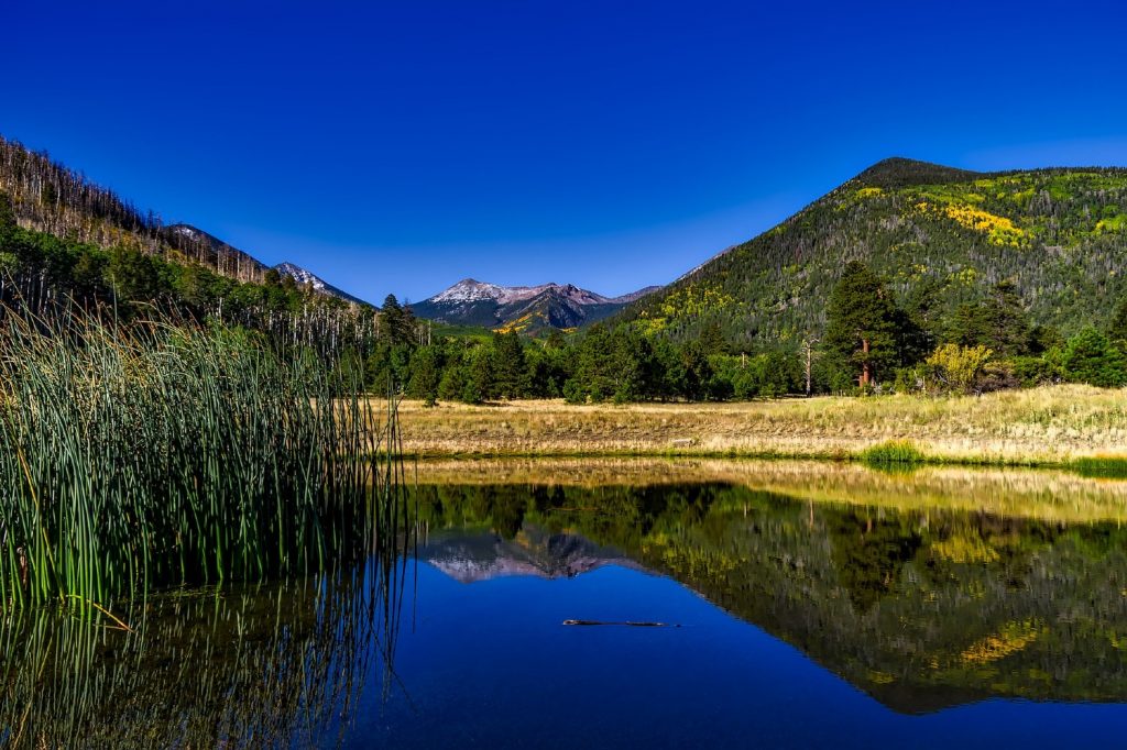 Coconino National Forest
