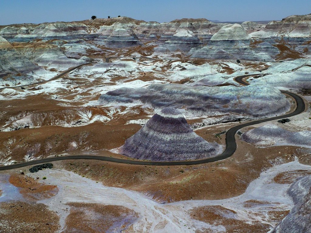 Petrified Forest National Park