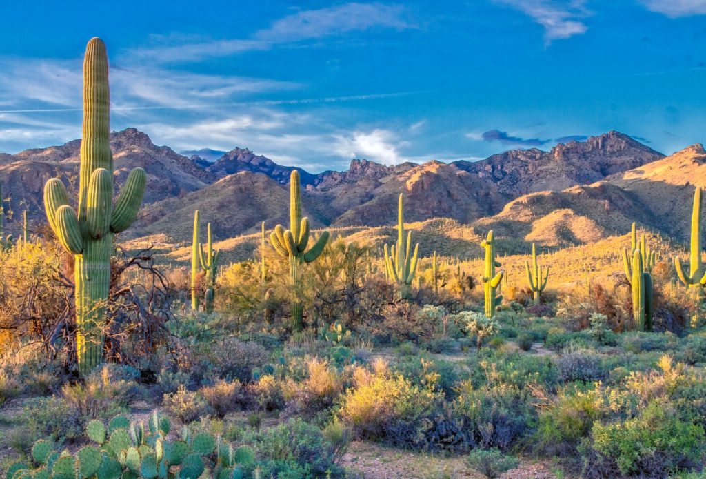 Tucson, AZ