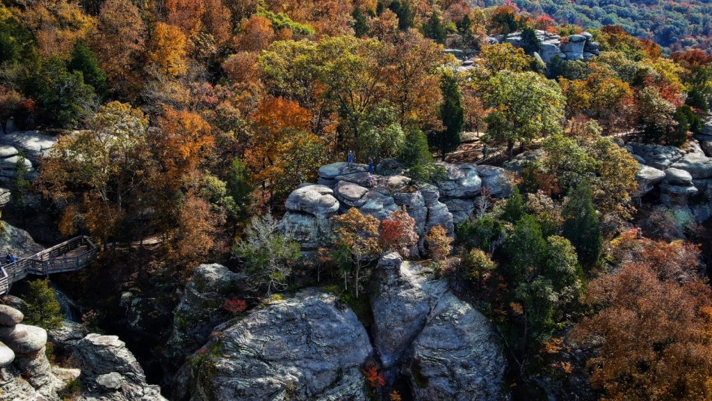 Shawnee National Forest