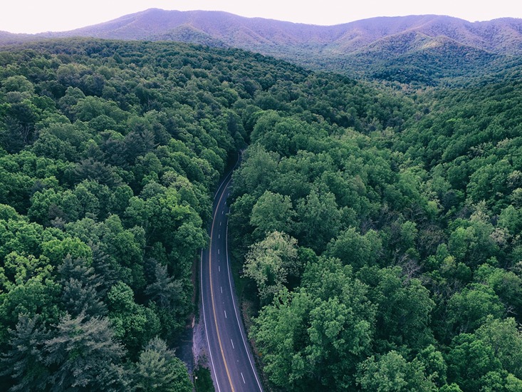 A winding road through Virginia's Shenandoah Valley