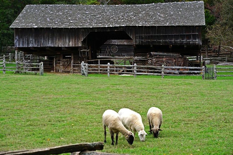 Museum of Appalachia