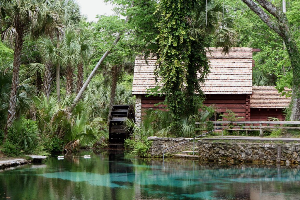 Ocala National Forest