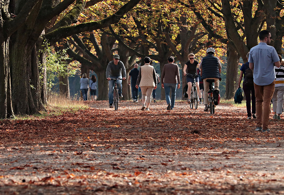 Bikes on a path in autumn.