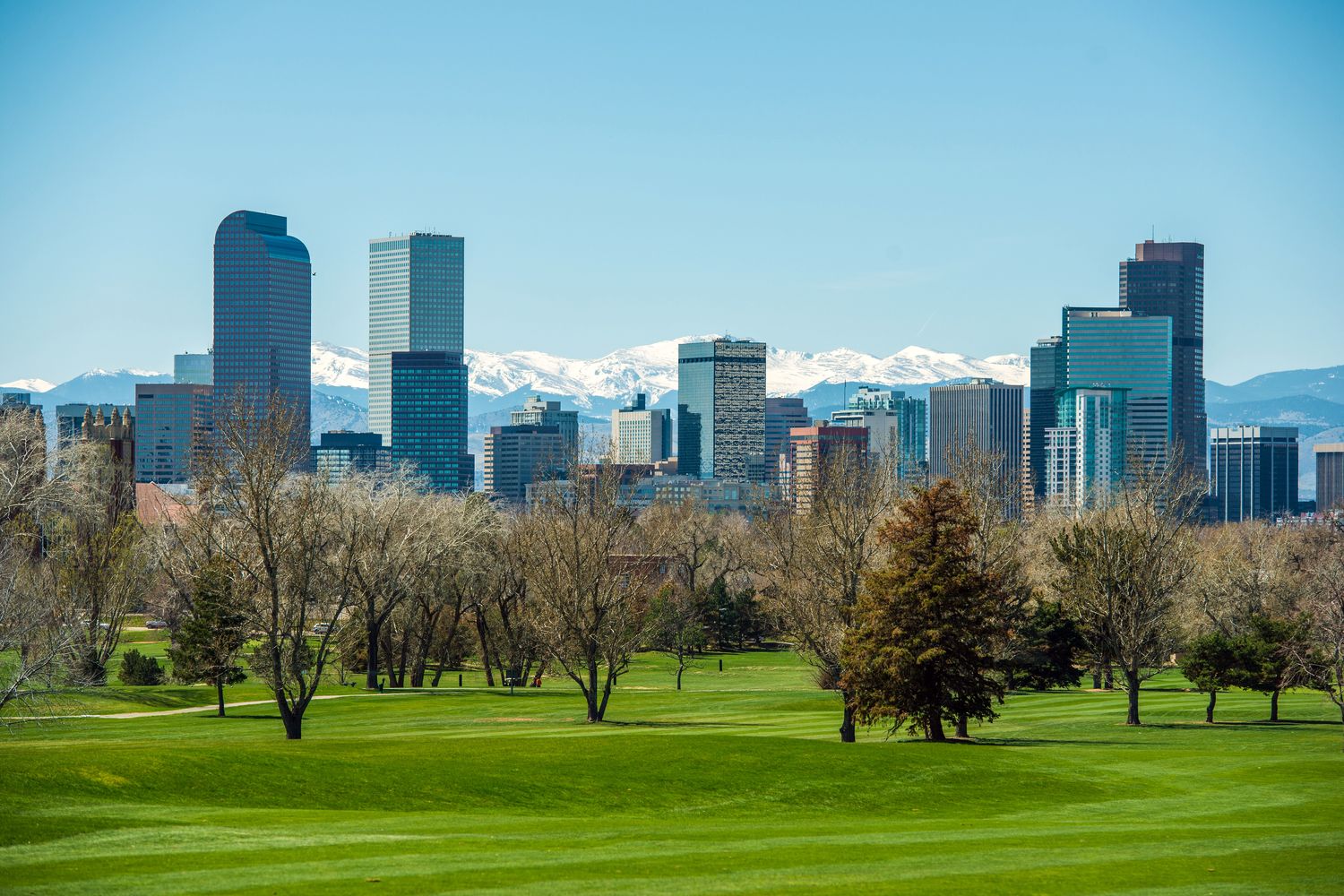 The downtown Denver skyline behind a green park fairway and bare spring trees, with the snow-capped Front Range stretched across the horizon under a clear blue sky