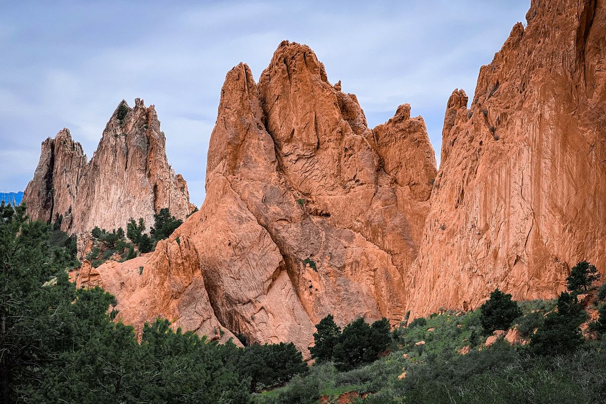 Towering red sandstone fins at Garden of the Gods in Colorado Springs, rising out of dark green pines and scrub under a pale, cloudy sky