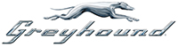 Greyhound