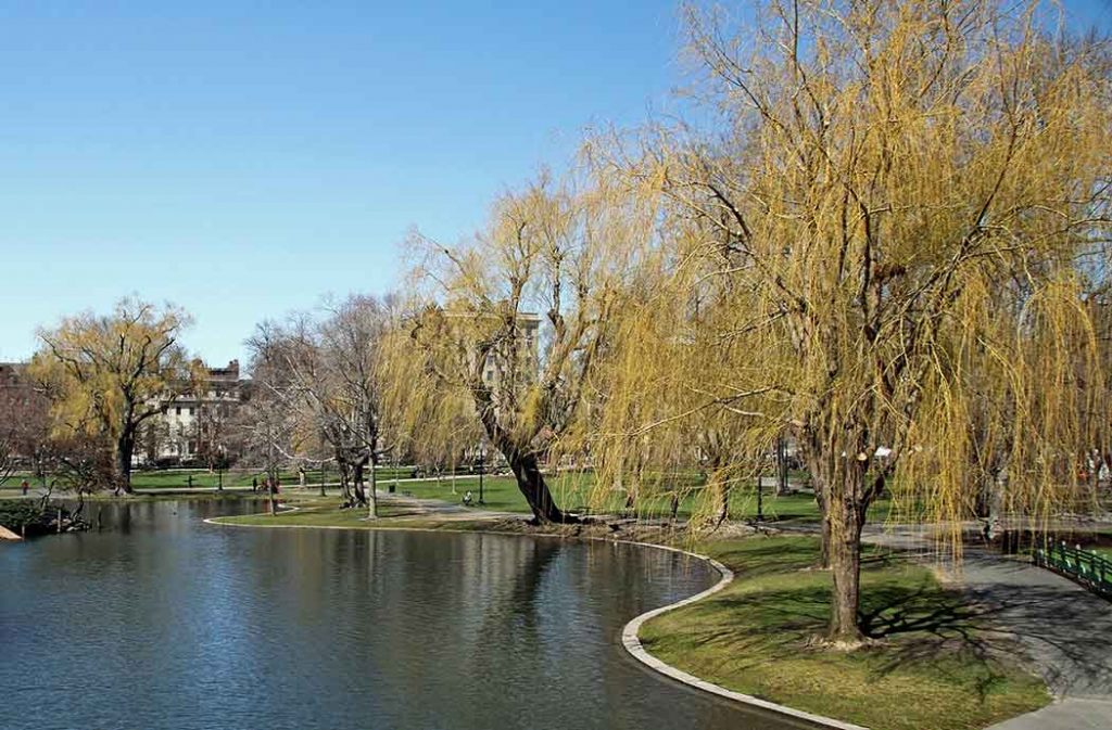 Photo of Boston Common and Boston Public Garden.