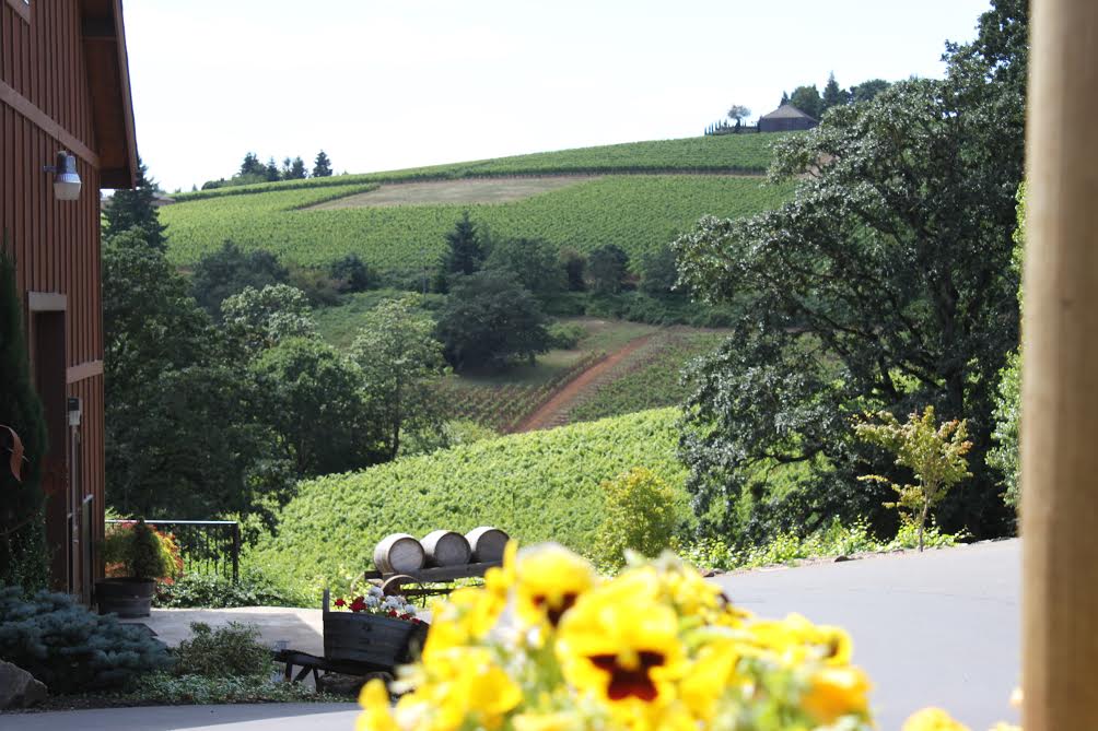 Fun things in Portland: Vineyards