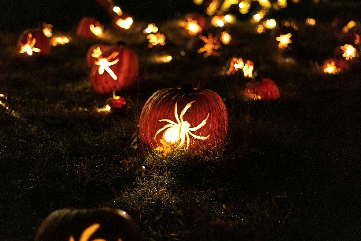Hundreds of carved jack-o-lanterns glowing in the dark at the Great Jack O’Lantern Blaze in Croton-on-Hudson, New York