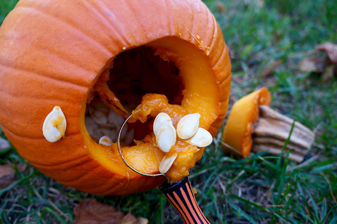 pumpkin guts small