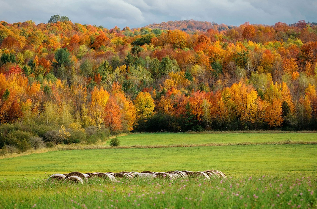 Views from the Amtrak Adirondack in Upstate New York.