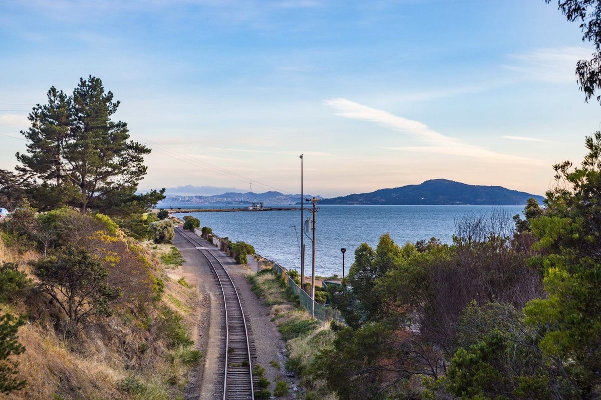 Railroad tracks curving along the San Francisco Bay shoreline toward distant hills, framed by pines and coastal brush