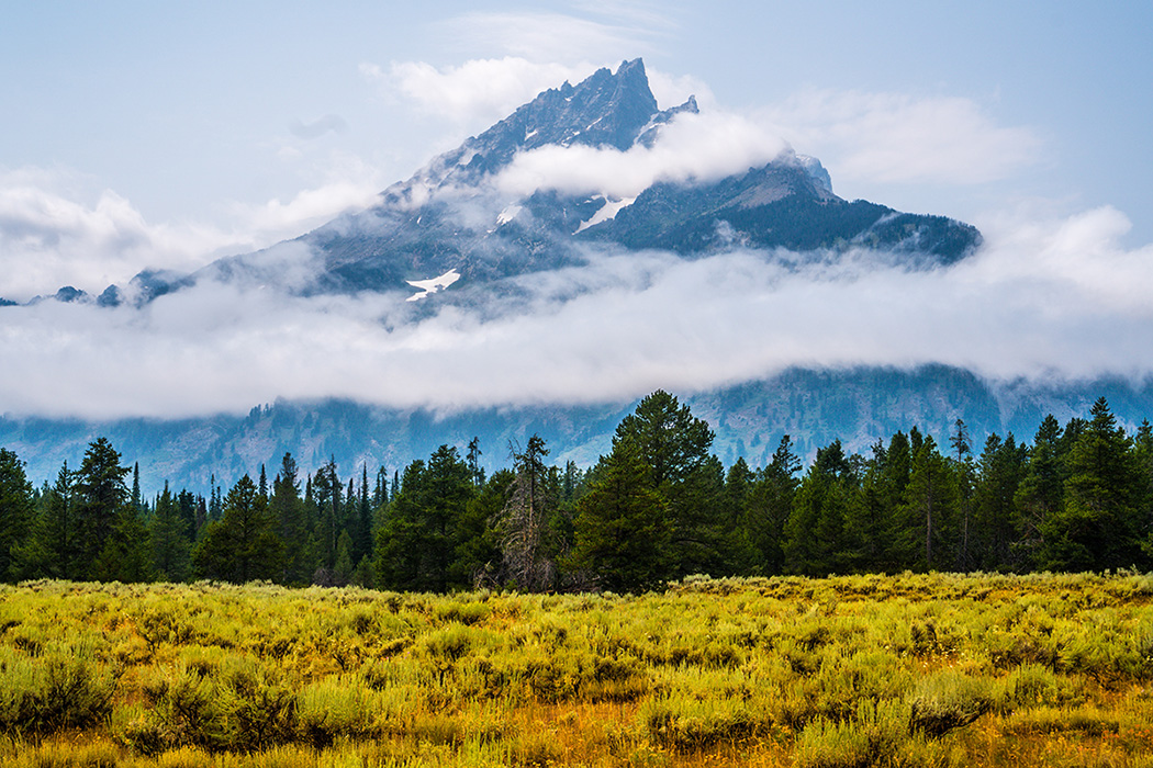 Scenic photo of Yellowstone National Park.