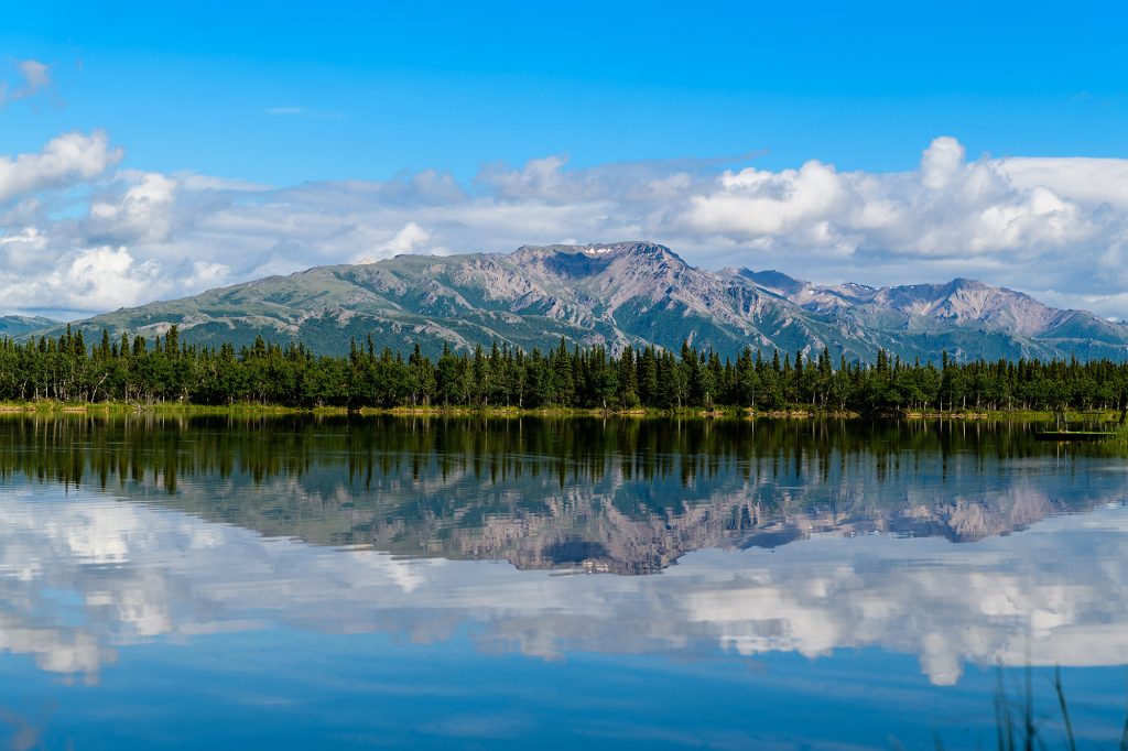 Denali National Park and Preserve