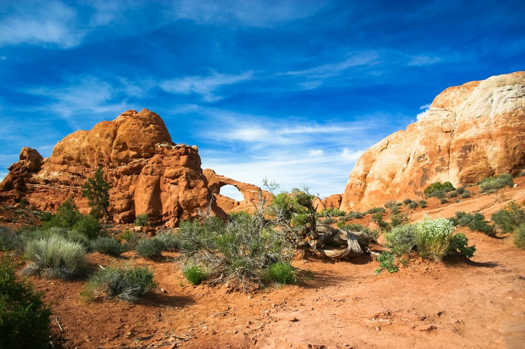 Arches National Park