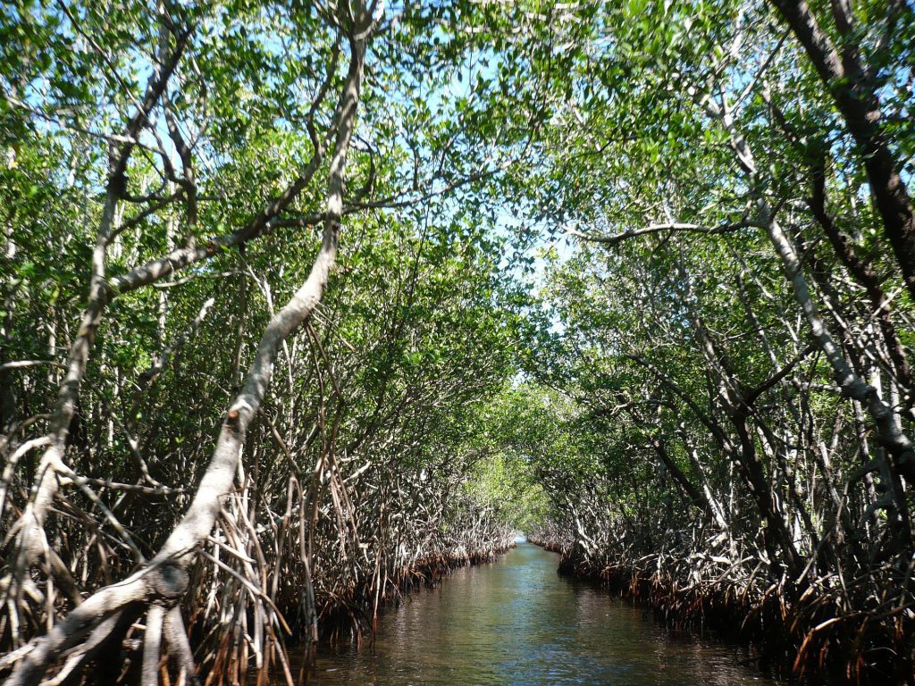 Everglades National Park