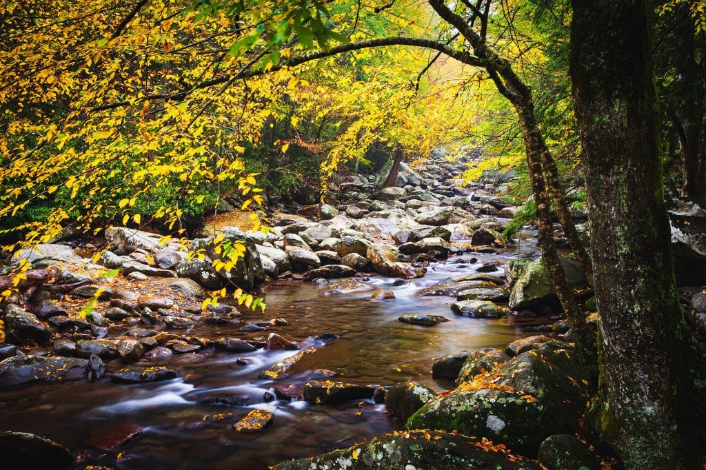 Great Smoky Mountains National Park