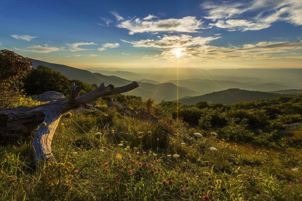 Shenandoah National Park
