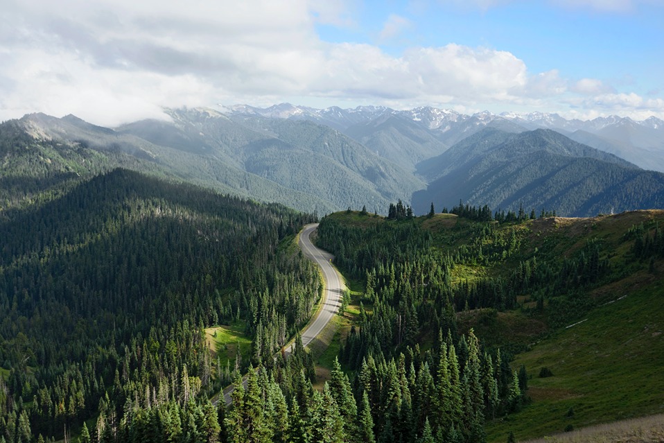 Olympic National Park