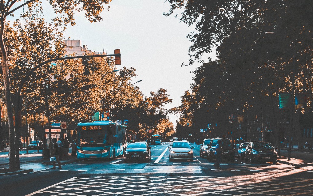 A bus and several rental cars are stopped on the road