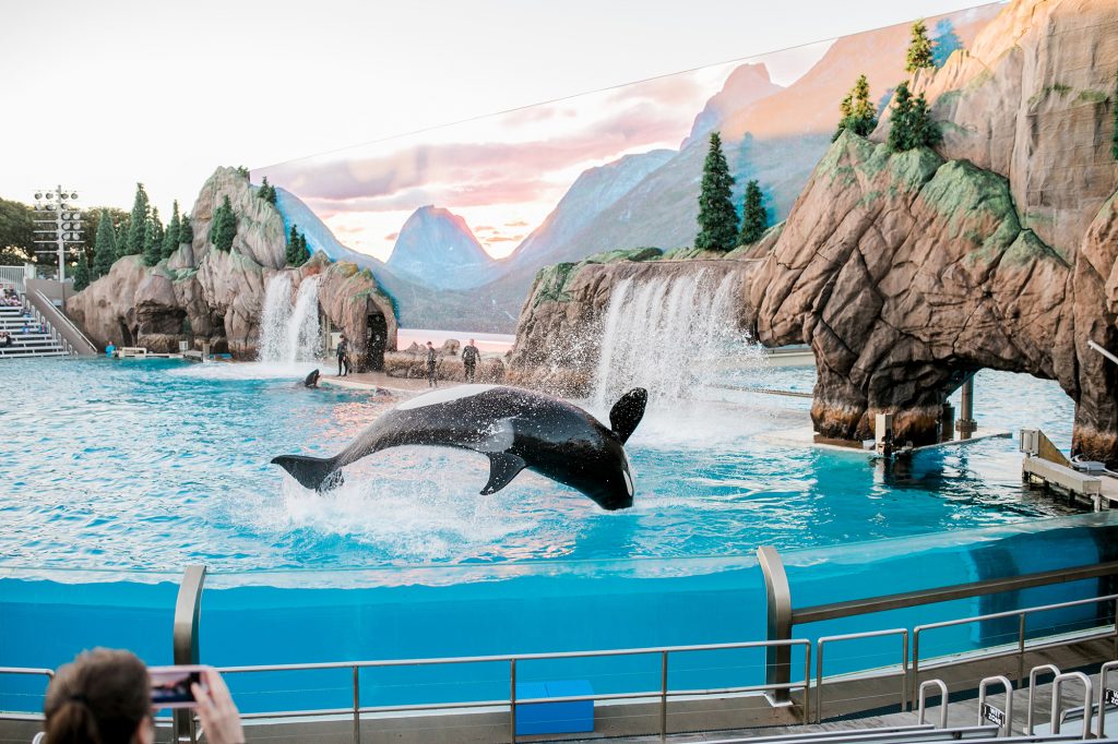 Seaworld