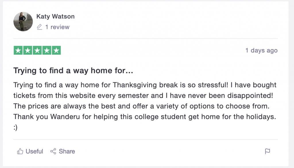 TrustPilot review of a Wanderu user who made it home for the holidays.