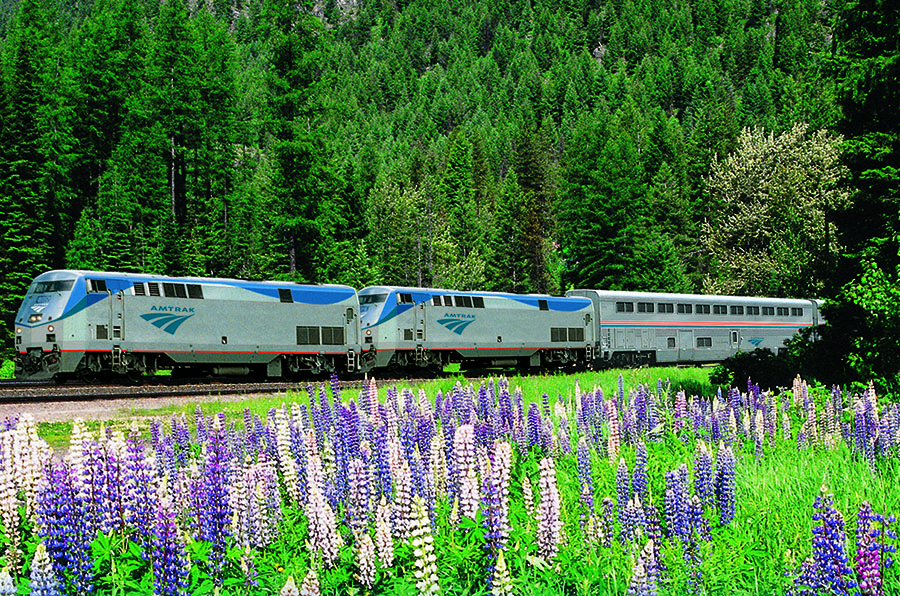 Photo of an Amtrak train in the spring time.