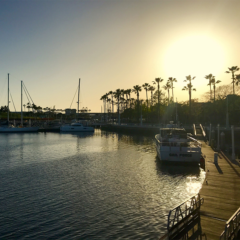 Cheap bus and train travel from Long Beach.