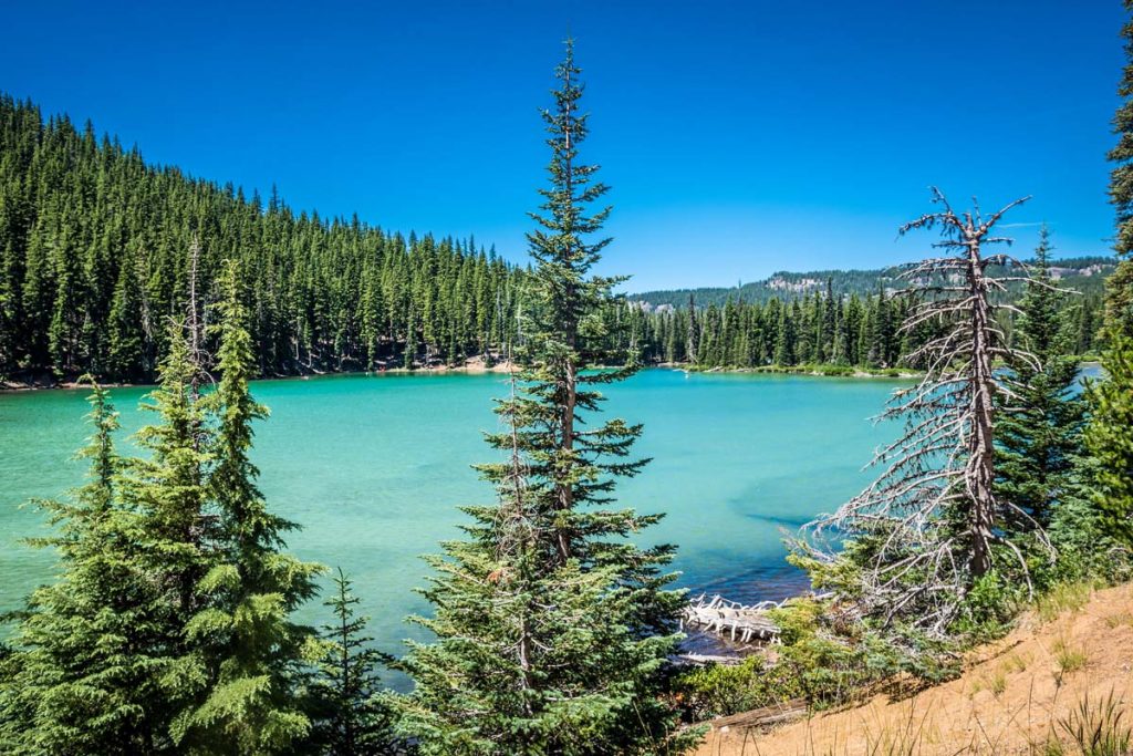 Photo of the Deschutes National Forest near Bend, Oregon